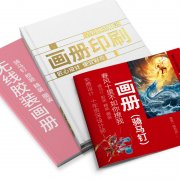 畫(huà)冊(cè)說(shuō)明書(shū)印刷定制